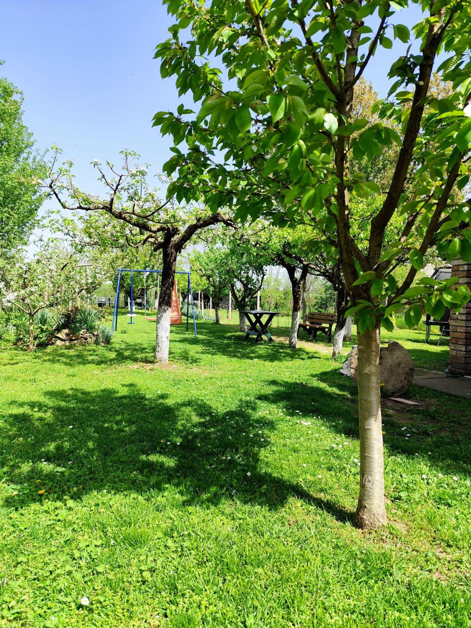 Kuca Za Odmor Mirni Kutak Vukovar Exteriér fotografie