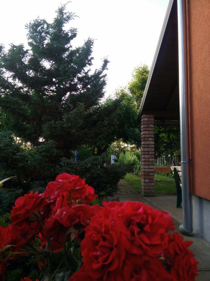 Kuca Za Odmor Mirni Kutak Vukovar Exteriér fotografie