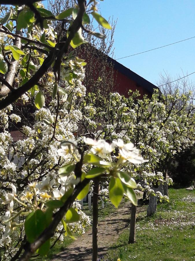 Kuca Za Odmor Mirni Kutak Vukovar Exteriér fotografie